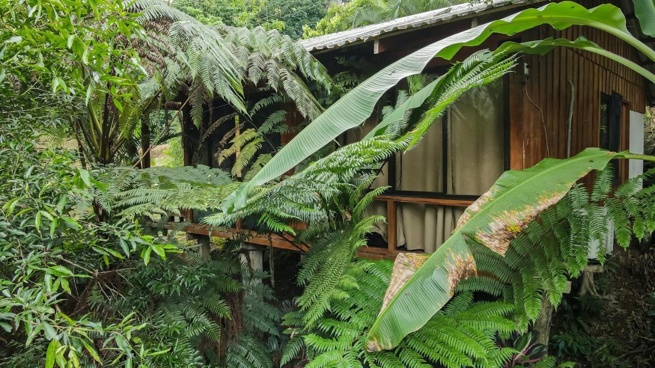 Cabanas Del Lago La Fortuna Exterior foto