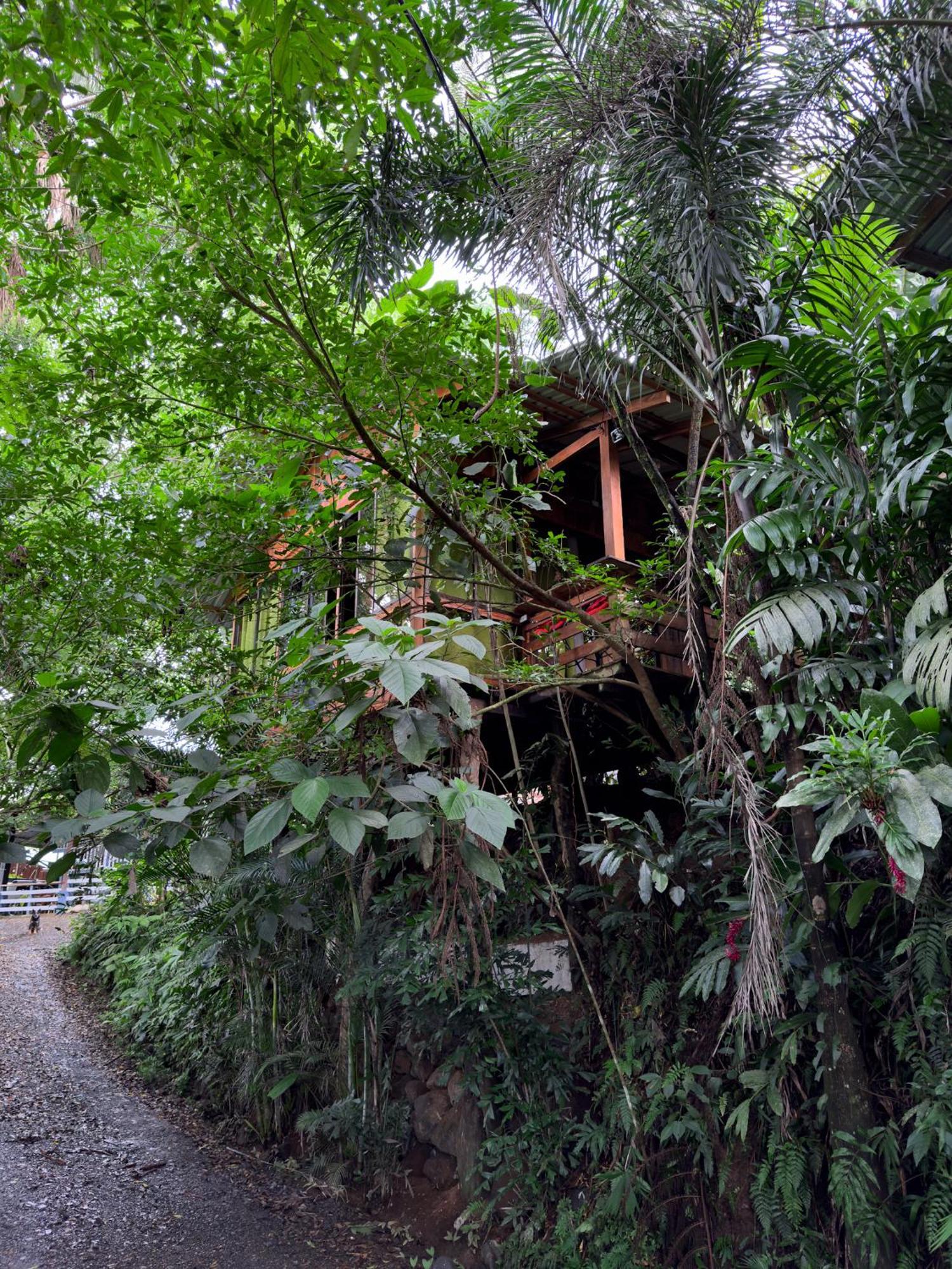 Cabanas Del Lago La Fortuna Exterior foto