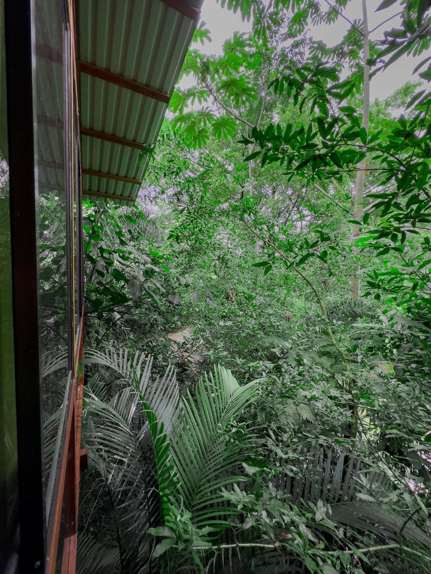 Cabanas Del Lago La Fortuna Exterior foto
